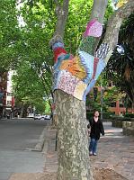 IMG_8420 Colorful knitting covering trees in Kings Cross