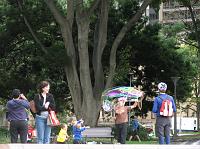 large bubbles at Hyde Park