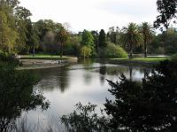 IMG_6161 Lake and trees at the Royal Botanic Gardens