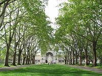 Trees at Carlton Gardens