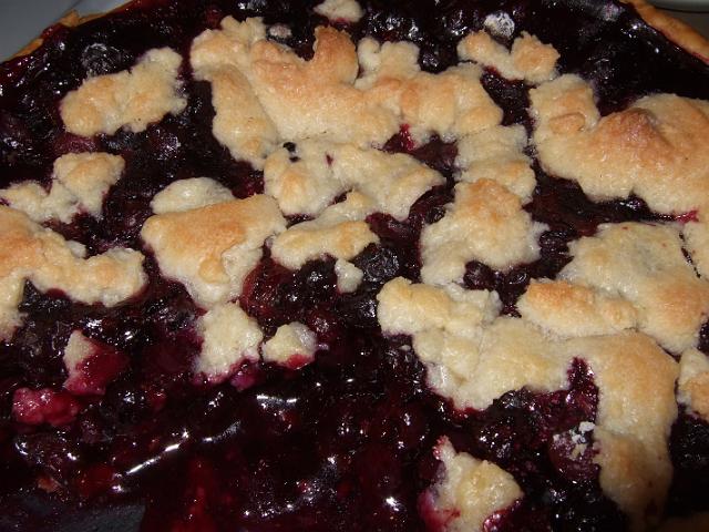 DSCF7247 Close up of the blueberry pie