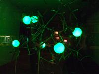 DSCF2568 Glowing green bulbs