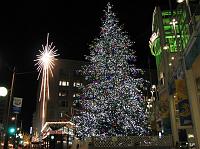IMG_9660 The Christmas tree and Macy's star