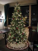 IMG_9712 Our 7.5' Christmas Tree
