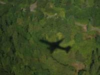DSCF2064 Shadow of our plane on the tall Northwest trees