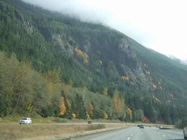 DSCF4756 Yellow trees on mountainside