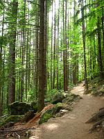 IMG_2930 Beautiful trail up to Rattlesnake Ledge