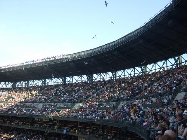 DSCF4067 We saw a ton of sea gulls at the game