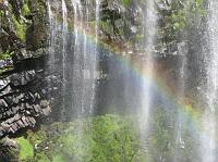 Narada Falls and rainbow