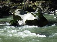 DSCF2301 Moss-covered rock in river