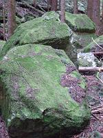 DSCF0827 Close up of moss-covered rocks