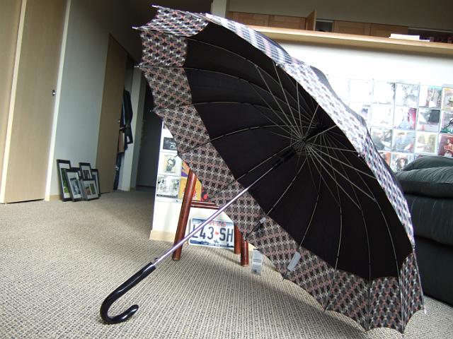 DSCF0358 Other view of umbrella.