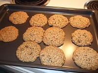 DSCF0346 Oatmeal cookies I made!