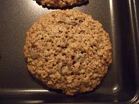 DSCF0349 A close up of one of the delicious oatmeal cookies.