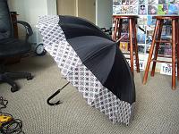 DSCF0357 Open umbrella.