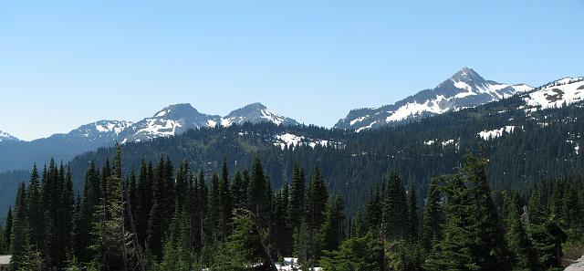 STITCH_6925 Trees and mountains near Mount Rainier