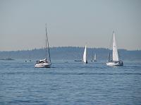 IMG_4555 Lots of sailboats in Puget Sound
