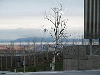 IMG_9652 Seattle Art Museum Olympic Sculpture Park looking toward Bainbridge Island