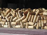 IMG_4054 Neat wine corks in the window for City Cellars Fine Wines