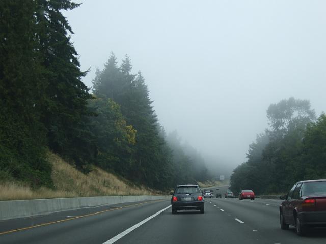 DSCF2173 It was really foggy on the way to the park