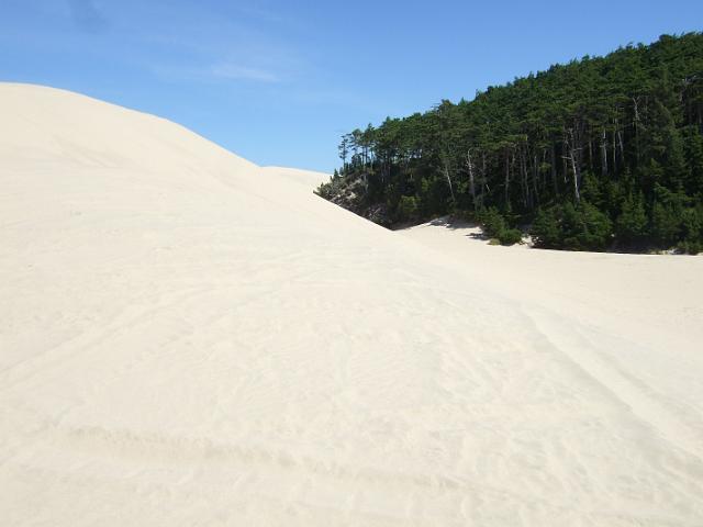 DSCF7255 Sand dunes!