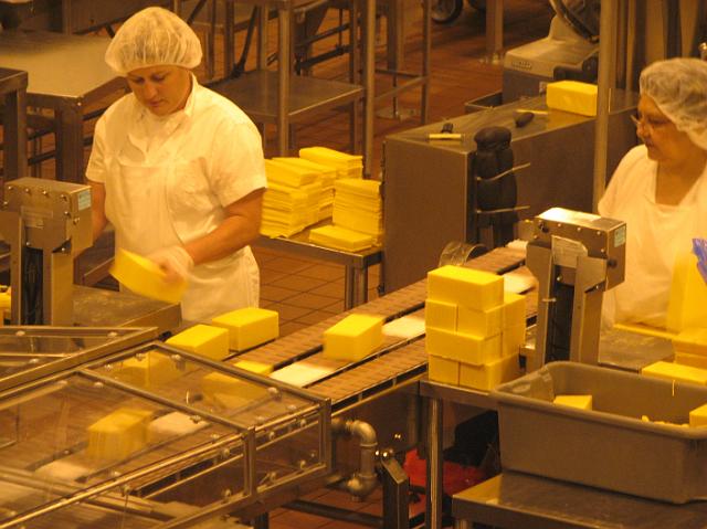 IMG_3443 Tillamook workers making sure cheese blocks are sized correctly