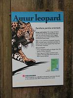 IMG_9613 Amur leopard sign... this is the closest I got to seeing one