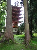 IMG_8322 Pagoda in Japanese Tea Garden