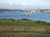 Lake Union