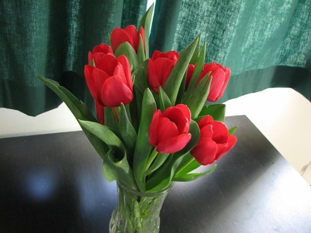IMG_0443 Pretty red tulips that Troy gave me
