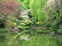 IMG_5324 Pond and greenery in sunken garden