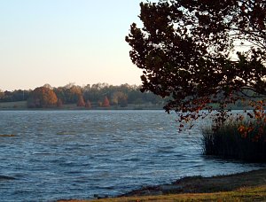 lake view