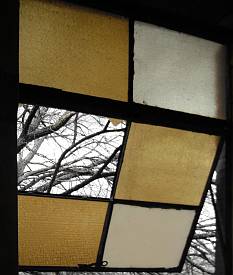 looking at a tree through a window