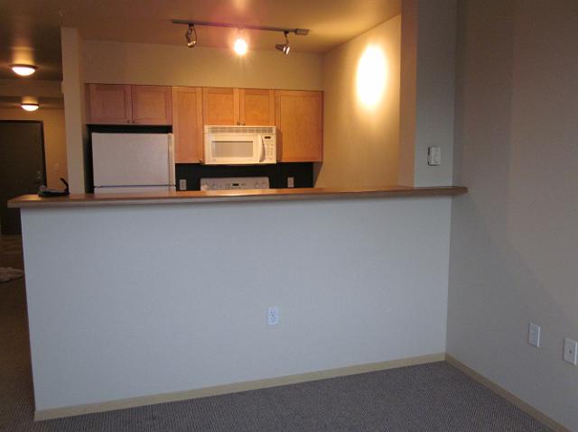 IMG_0295 Kitchen and living area