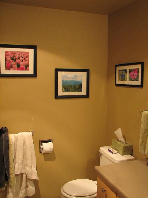 IMG_1690 Bathroom - Pink Tulips, Hurricane Ridge, Bluebonnets, and flower from Australia