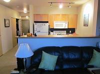 IMG_0070 Our couch and kitchen