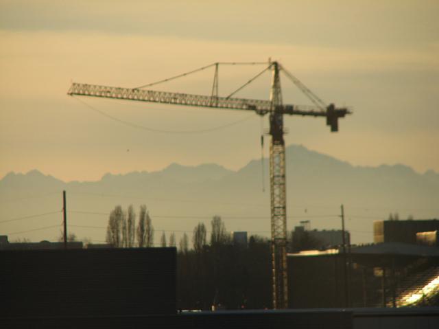 IMG_4852 9,