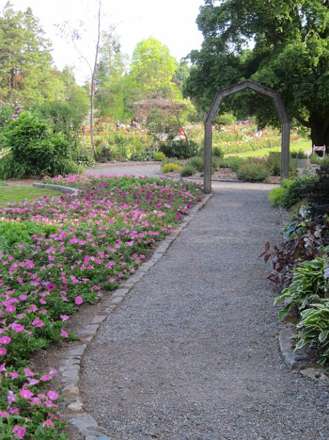 IMG_1372 Pathway through the garden