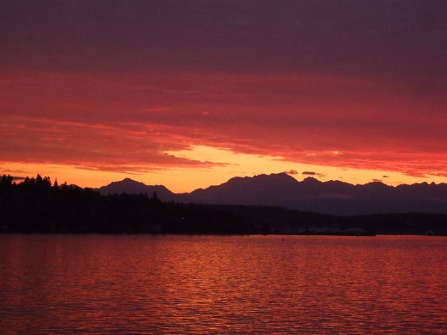 DSCF4028 Really neat