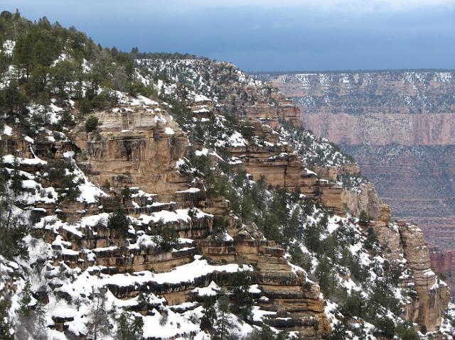 IMG_4099 More snow and trees along the Grand Canyon.