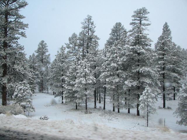 IMG_4130 We saw snow like this for miles and miles after leaving the Grand Canyon.