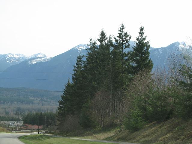 IMG_5065 Trees and mountains.