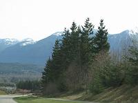 IMG_5065 Trees and mountains.