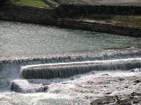 IMG_5081 About to fall off the edge.