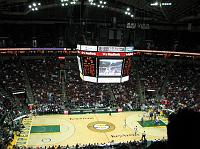 IMG_5295 View of the whole arena