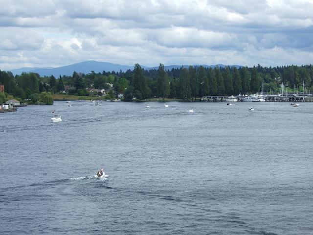 DSCF1508 Scenic view of trees, Cascade Mountains, and Portage Bay from University Bridge