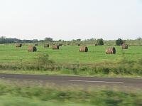IMG_3365 Here's a picture of some hay on the way back.